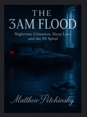 cover image of The 3AM Flood